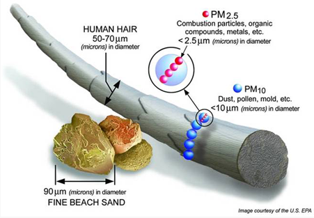 pm251