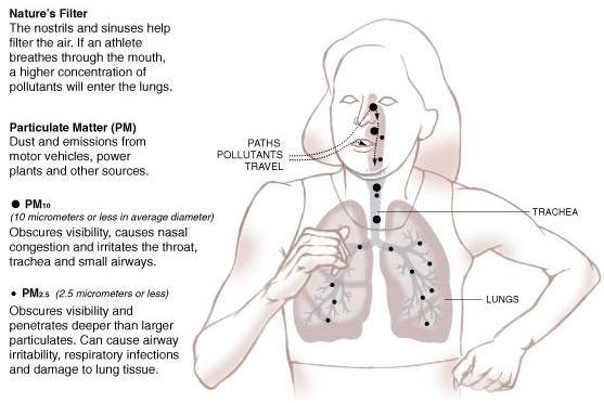 pm252