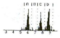 RAD7連續測氡儀說明書-10