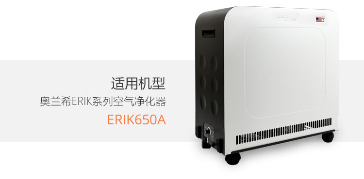 ERIK650A復合預過濾網10