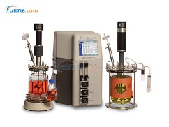 BioFlo 115入門級發酵罐